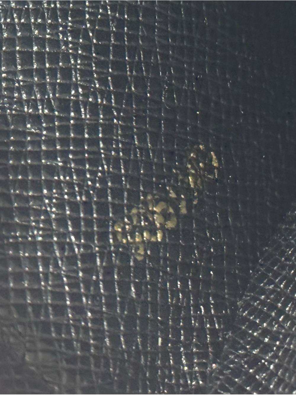 Louis Vuitton Reverse Monogram Giant Trio Rectangle Pouch Single Piece - Picture 9 of 11
